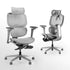 D2 Pro Ergonomic Office Chair with Adjustable Lumbar Support and Footrest