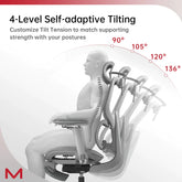 D2 Pro Ergonomic Office Chair with Adjustable Lumbar Support and Footrest