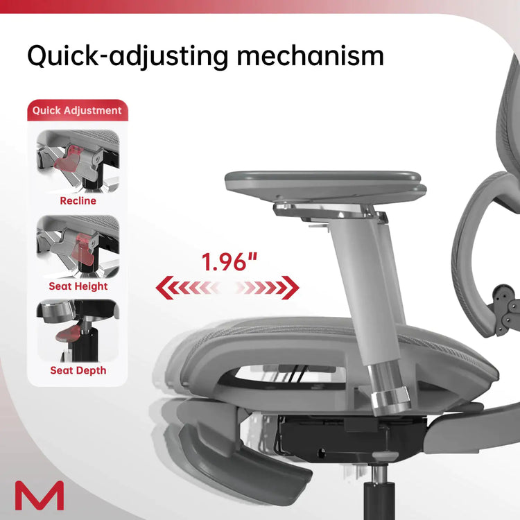 Comfortable D2 Pro Office Chair with Ergonomic Design, Lumbar Support, and Footrest